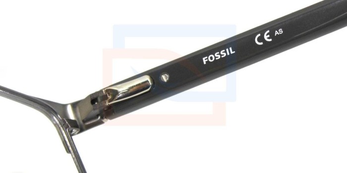 Fossil FOS6015