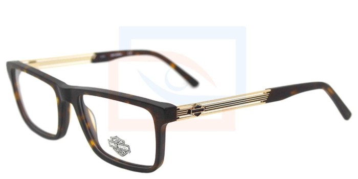 Lentes oftálmicos Harley-Davidson HD0845 052