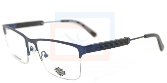 Lentes oftálmicos Harley-Davidson HD9013 091