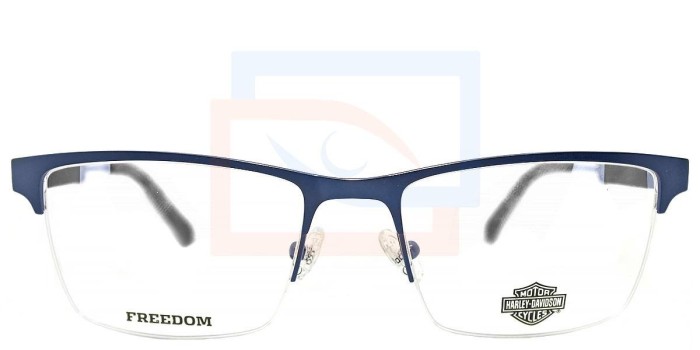 Lentes Harley-Davidson HD9013 tienen como objetivo central