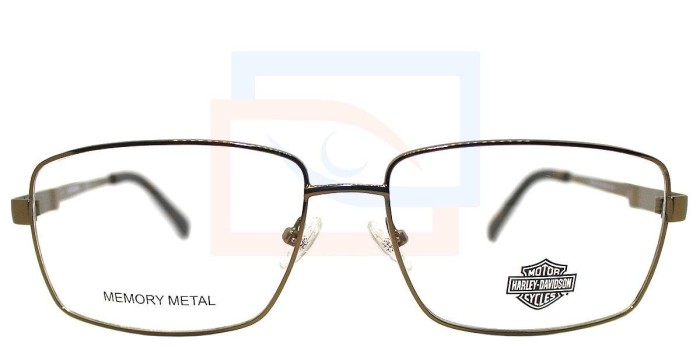 Las gafas Harley-Davidson HD0855 cuentan con un gran tamaño