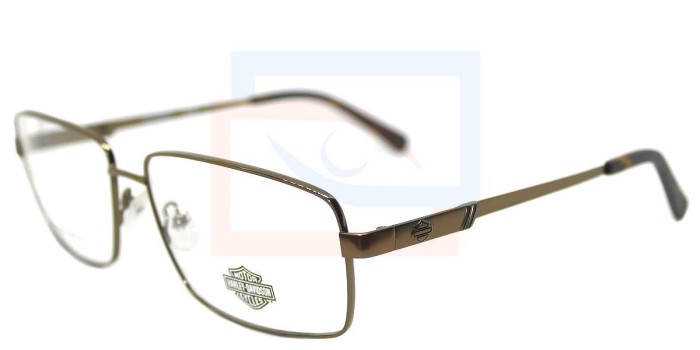 Lentes oftálmicos Harley-Davidson HD0855 045
