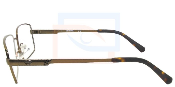 Las gafas Harley-Davidson HD0855 cuentan con un gran tamaño