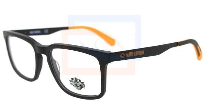 Lentes oftálmicos Harley-Davidson HD0942 002