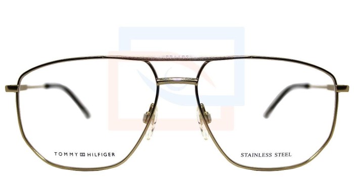 Tommy Hilfiger TH1725