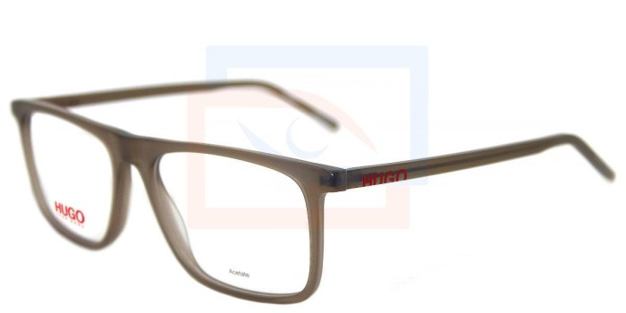 Lentes oftálmicos Hugo HG1057 4IN