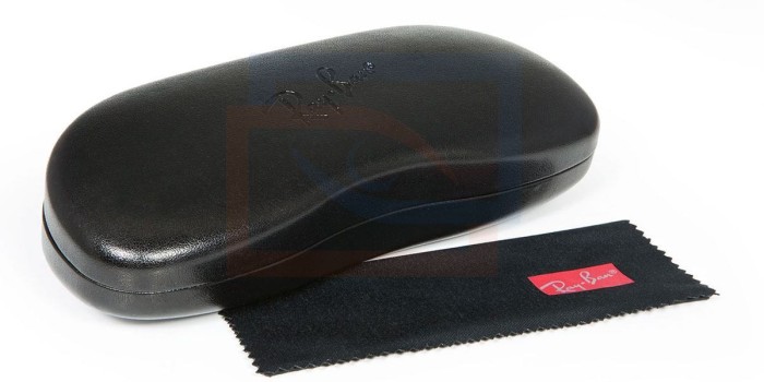 Ray-Ban RB5184 regresan al principio, donde todo empezó