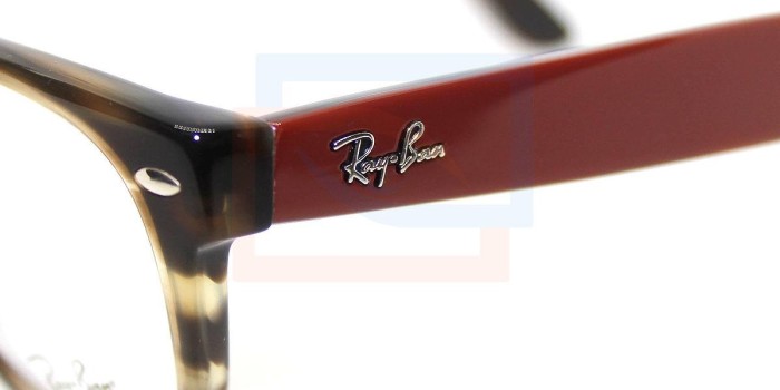 Ray-Ban RB5184 regresan al principio, donde todo empezó