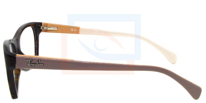 Ray-Ban RB5298 son tan solicitados gracias a su manera