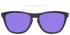 Oakley Frogskins OO9013