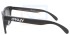 Oakley Frogskins OO9013