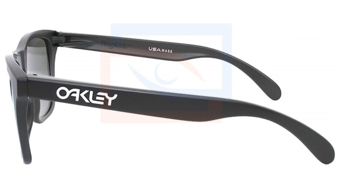 Oakley Frogskins OO9013