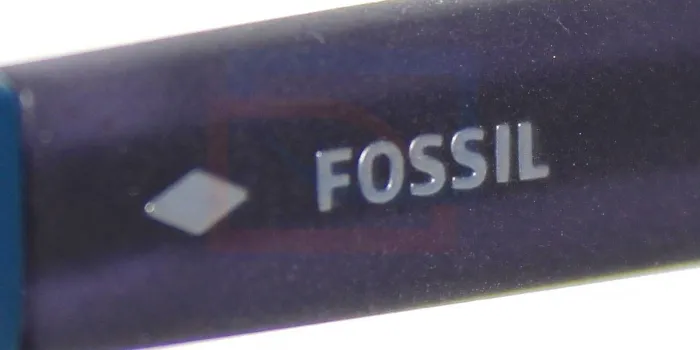 Fossil FOS3096GS