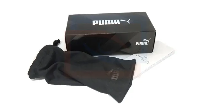Puma PE0023S es uno de los primeros aviadores deportivos