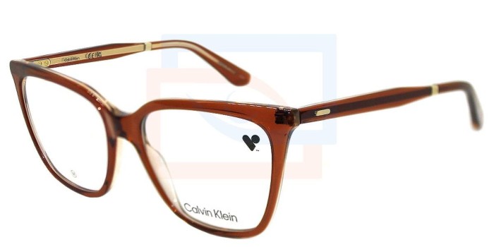 Lentes oftálmicos Calvin Klein CK23513 601